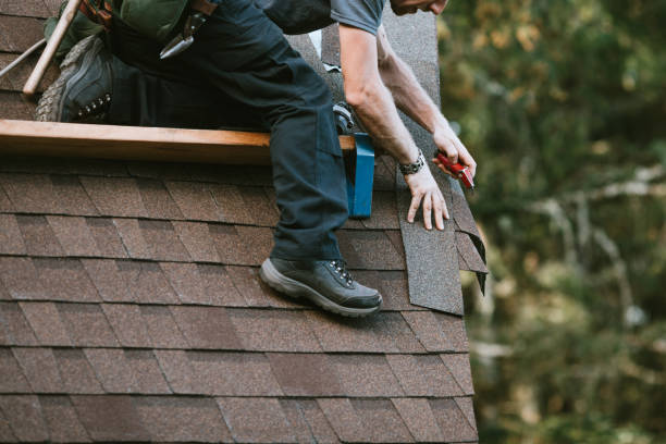 Best Roof Gutter Cleaning  in Emerson, NJ